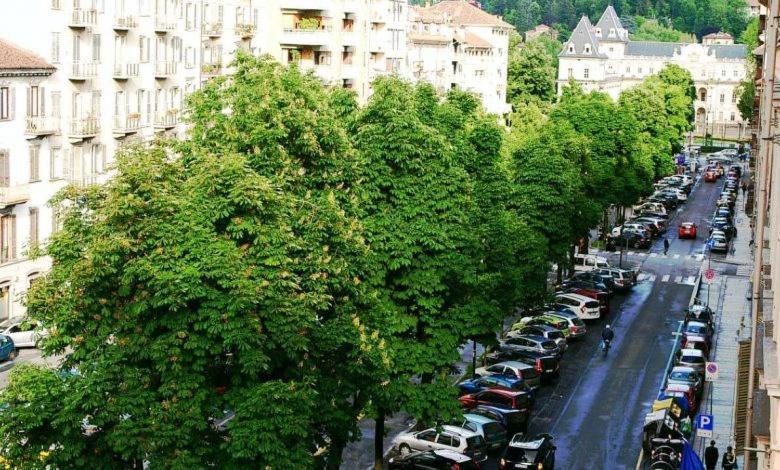 Torino Centro - La Casa Di Zoe Lägenhet Exteriör bild